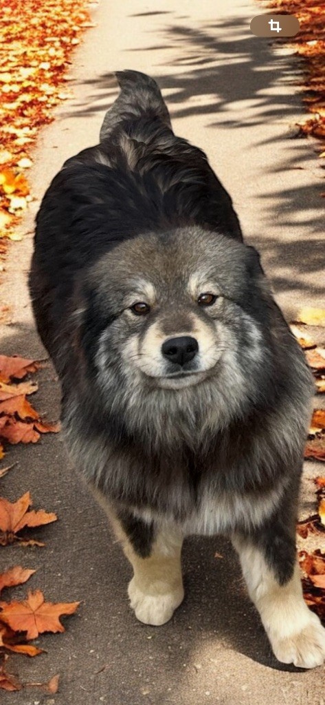 Umy Du Domaine Louchine