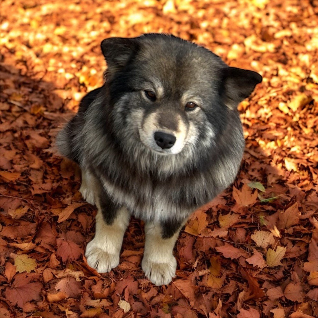 Umy Du Domaine Louchine