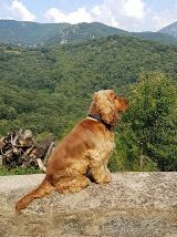 Publication : (Sans Affixe)