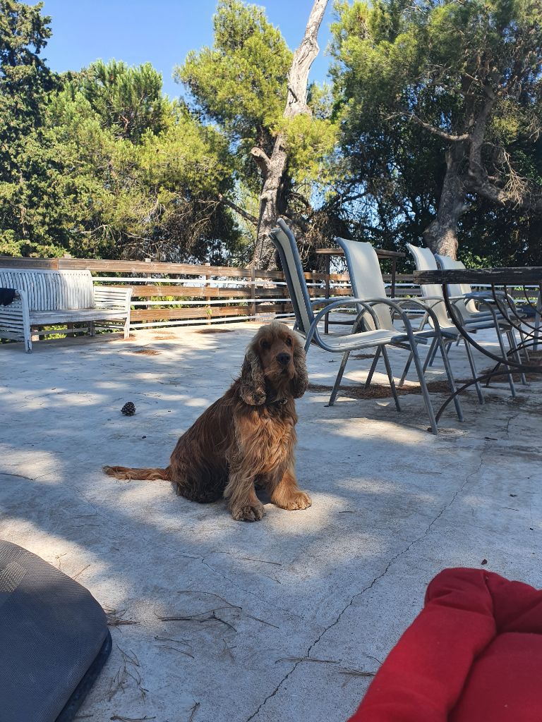 Publication : (Sans Affixe)