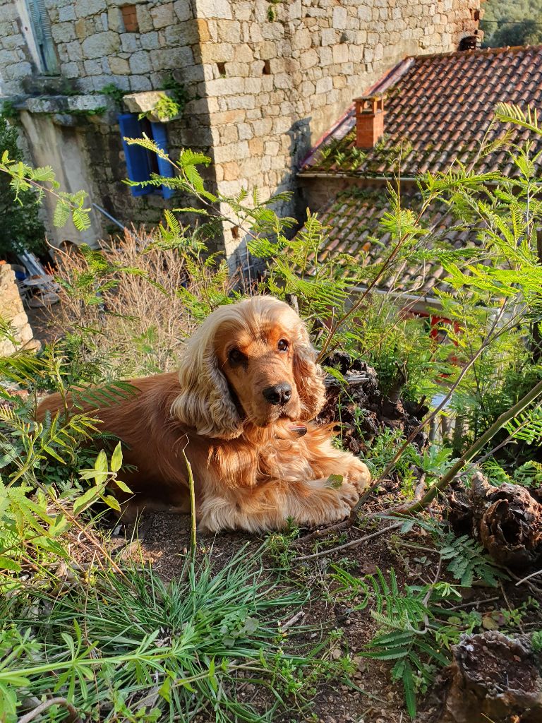 Publication : (Sans Affixe)