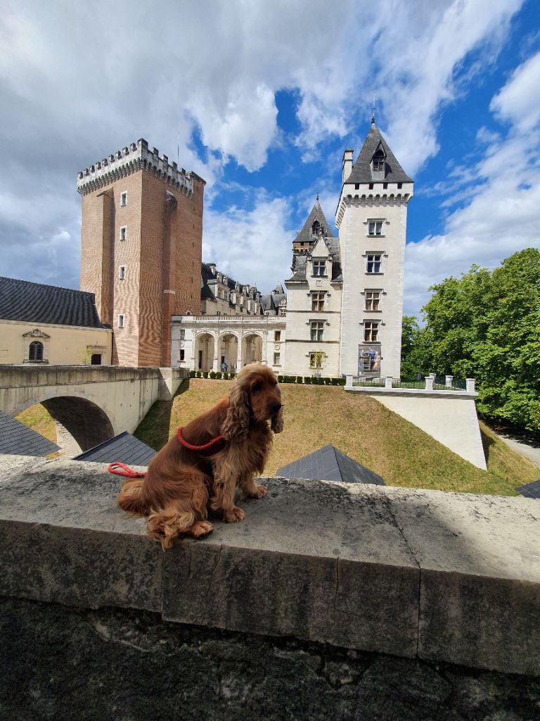 Publication : (Sans Affixe)