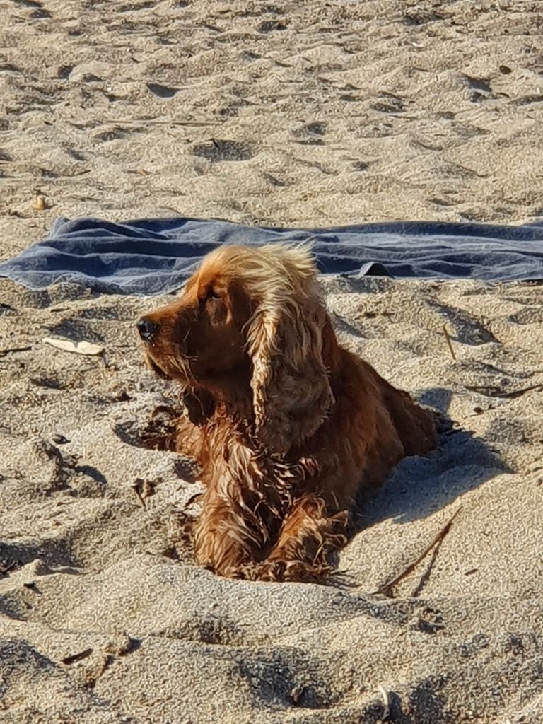 Publication : (Sans Affixe)