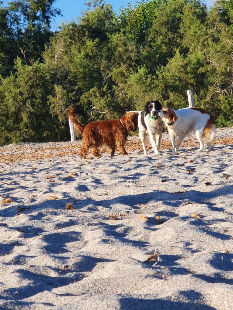 Publication : (Sans Affixe)