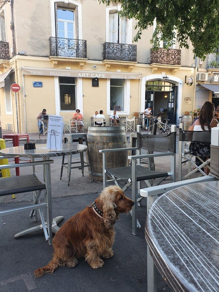 Publication : (Sans Affixe)