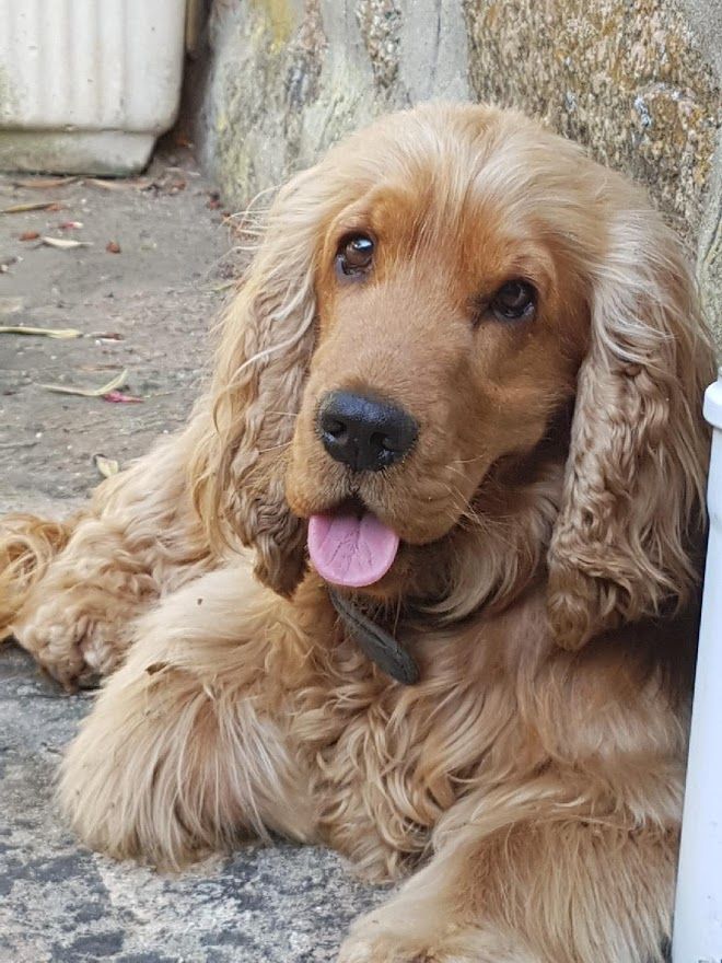 Publication : (Sans Affixe)