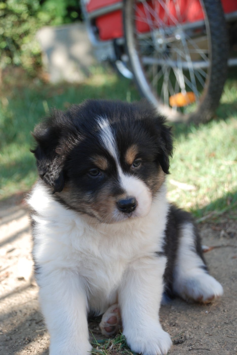 Beethoven