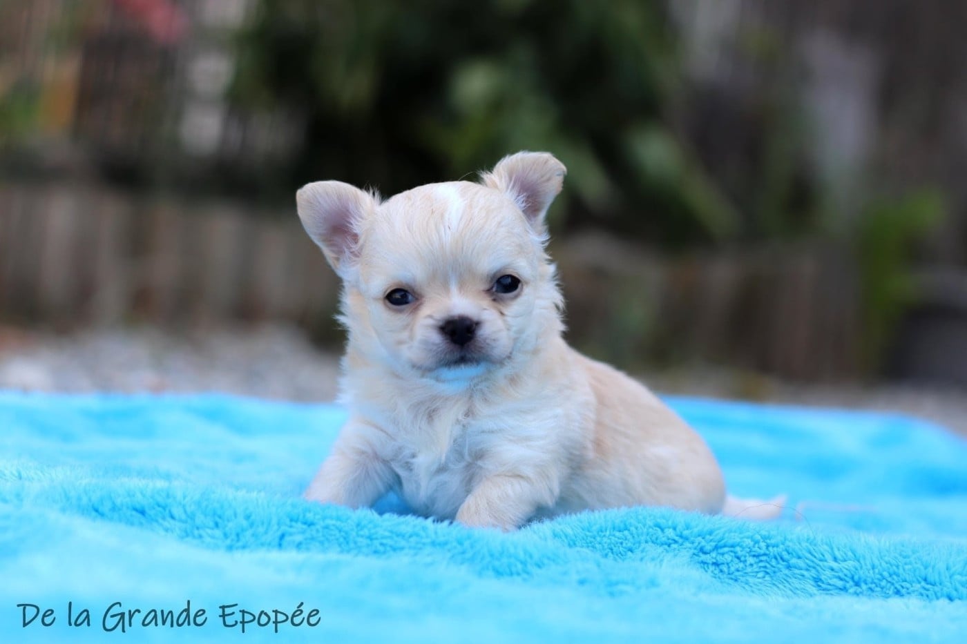Baby Million