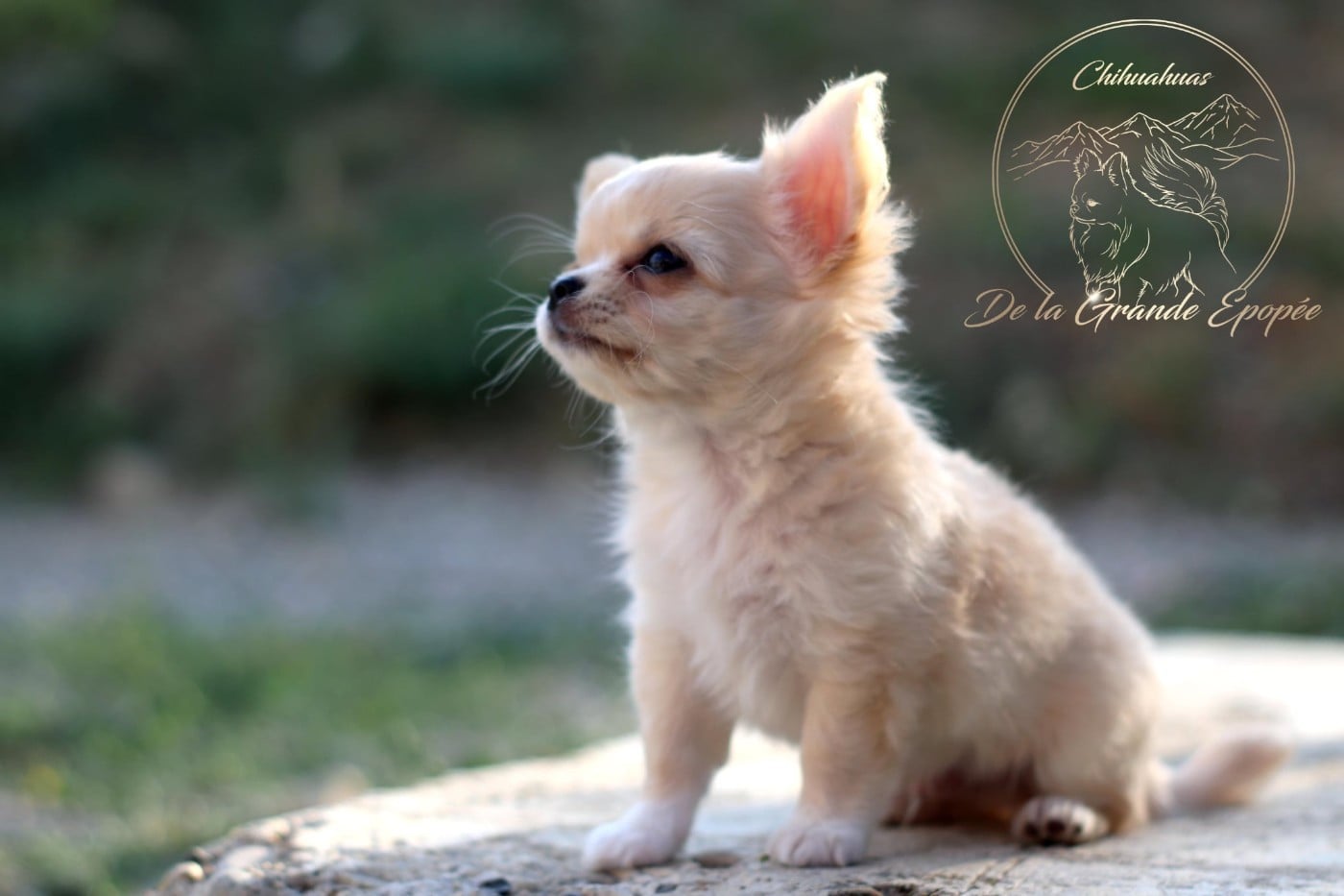 Baby Million