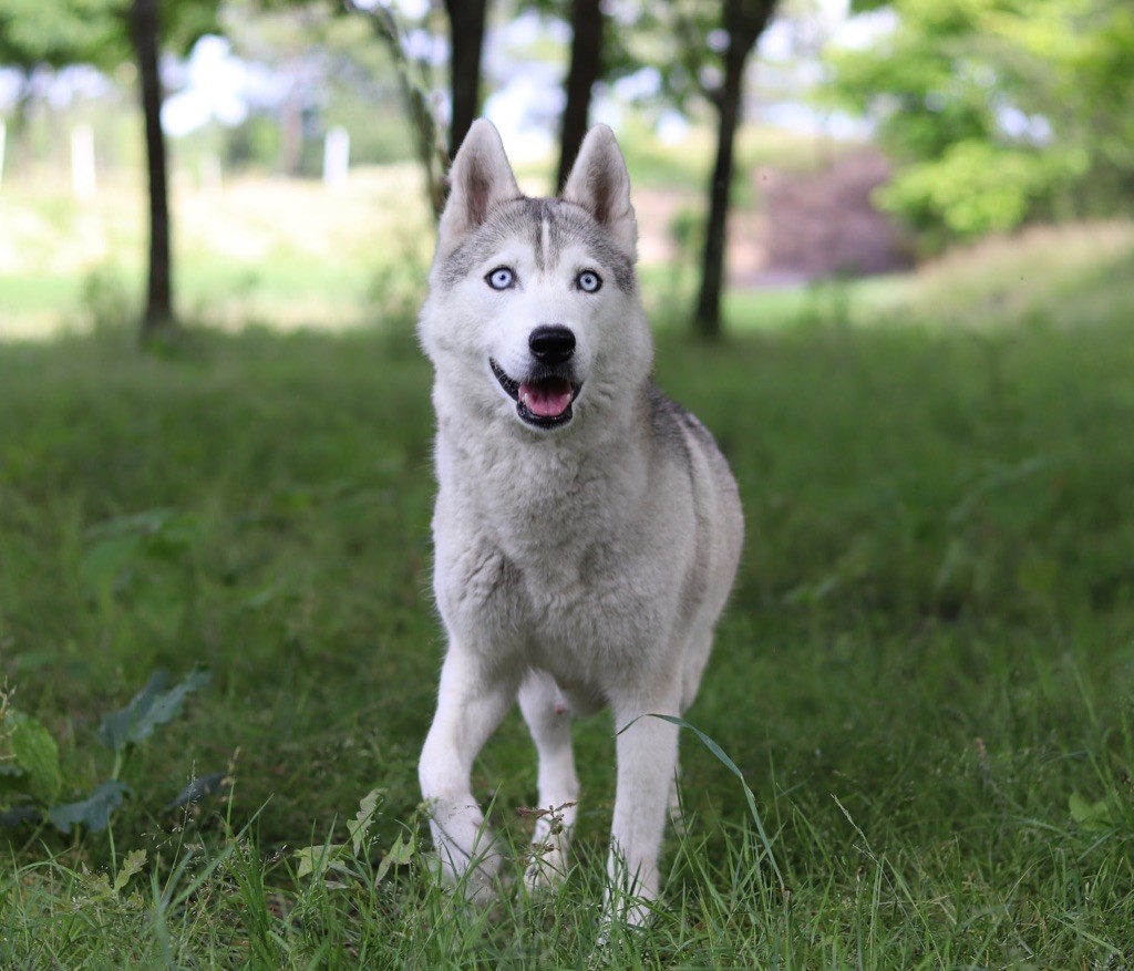 Publication : Spirit Of The Wind's