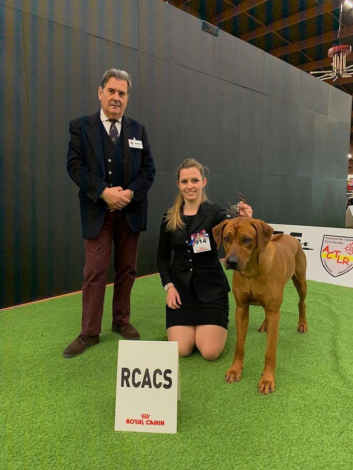 CH. Oluwa seyi aslan Du Domaine D'adéane - 2éme Excellent RCACS