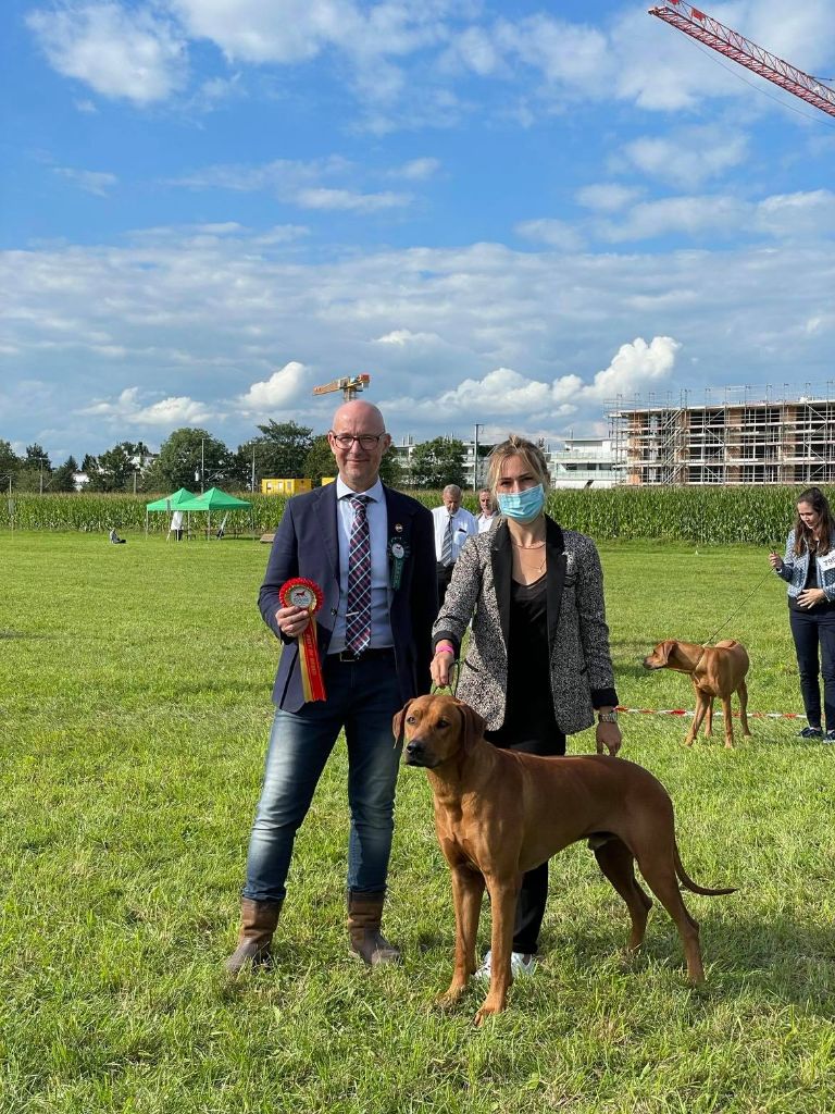 CH. Oluwa seyi aslan Du Domaine D'adéane - 1ERE EXC - CAC - CACIB - BOB