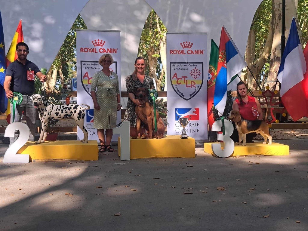 CH. Tunda wa upendo yuma Of Lil' Toffee - 1ere Exc / CACS / BOB /BOG