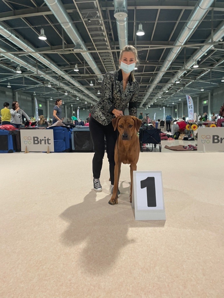 CH. Oluwa seyi aslan Du Domaine D'adéane - 1er Exc CAC