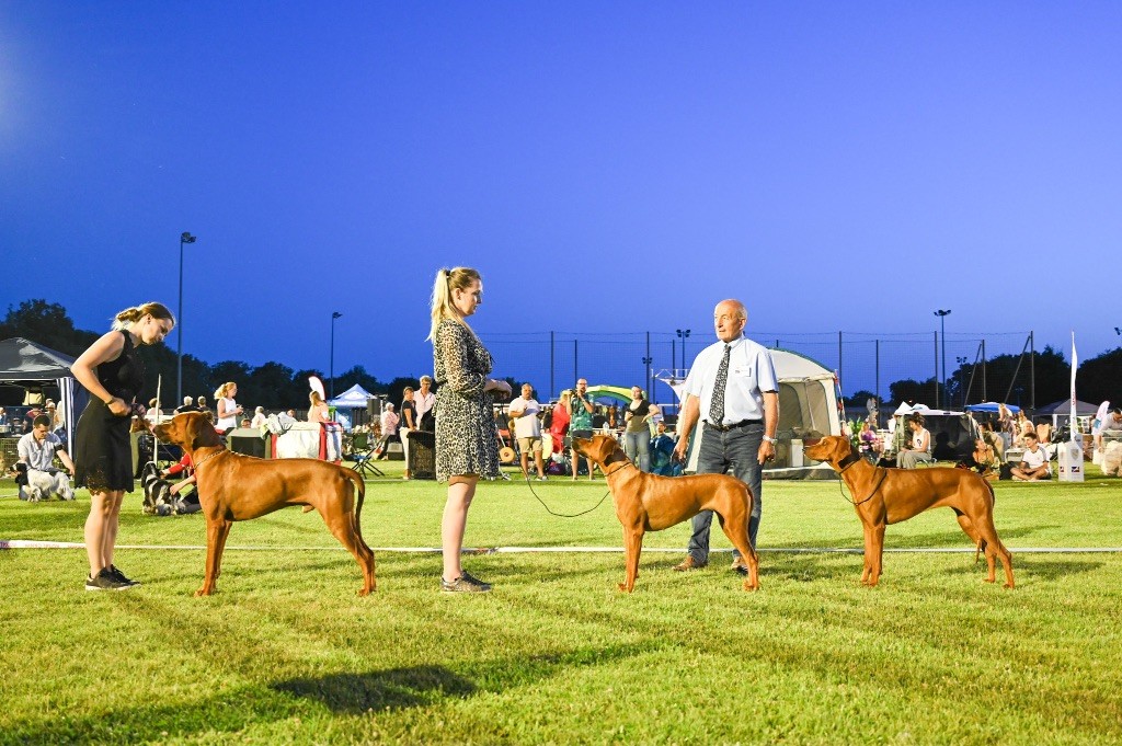 CH. Tunda wa upendo yuma Of Lil' Toffee - 1ere Exc / CACS / BOS