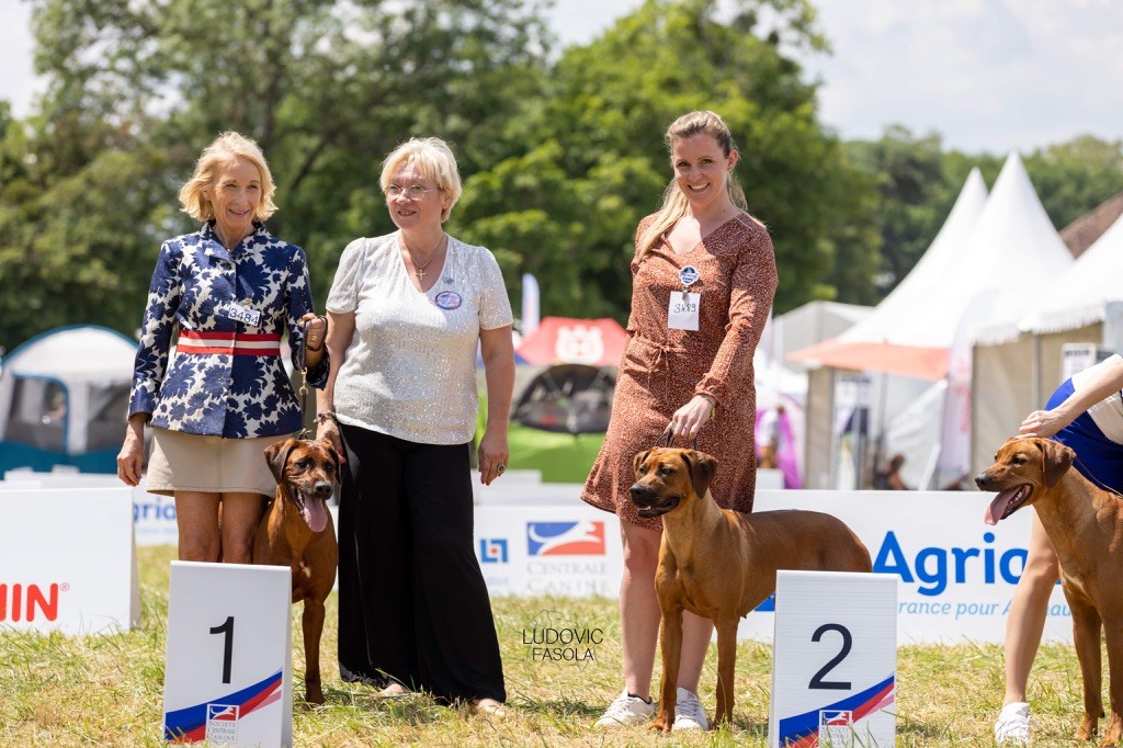 CH. Tunda wa upendo yuma Of Lil' Toffee - 2ème Exc