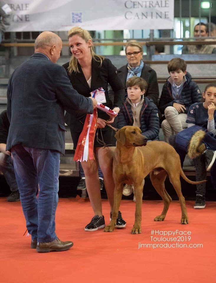CH. Oluwa seyi aslan Du Domaine D'adéane - 1Exc Meilleur Jeune / Meilleur de Race / 2éme Goupe 6