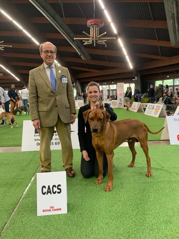 CH. Oluwa seyi aslan Du Domaine D'adéane - 1er Excellent CACS