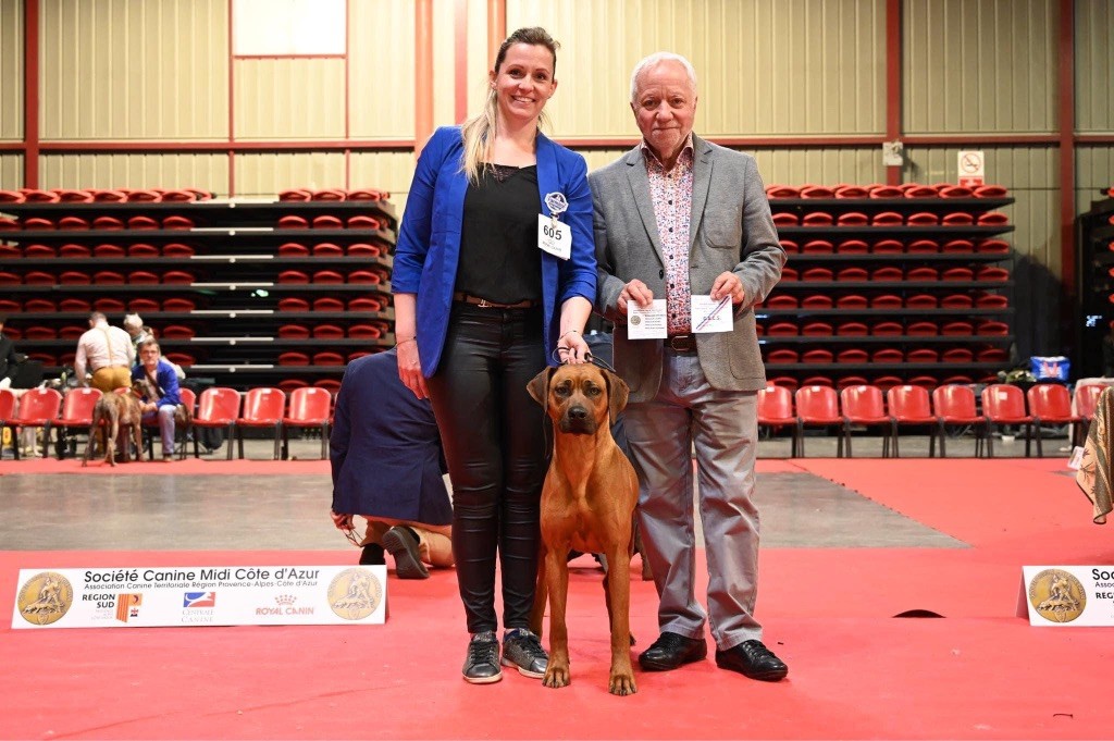 CH. Tunda wa upendo yuma Of Lil' Toffee - 1ere Exc / CACS / BOB / BOG