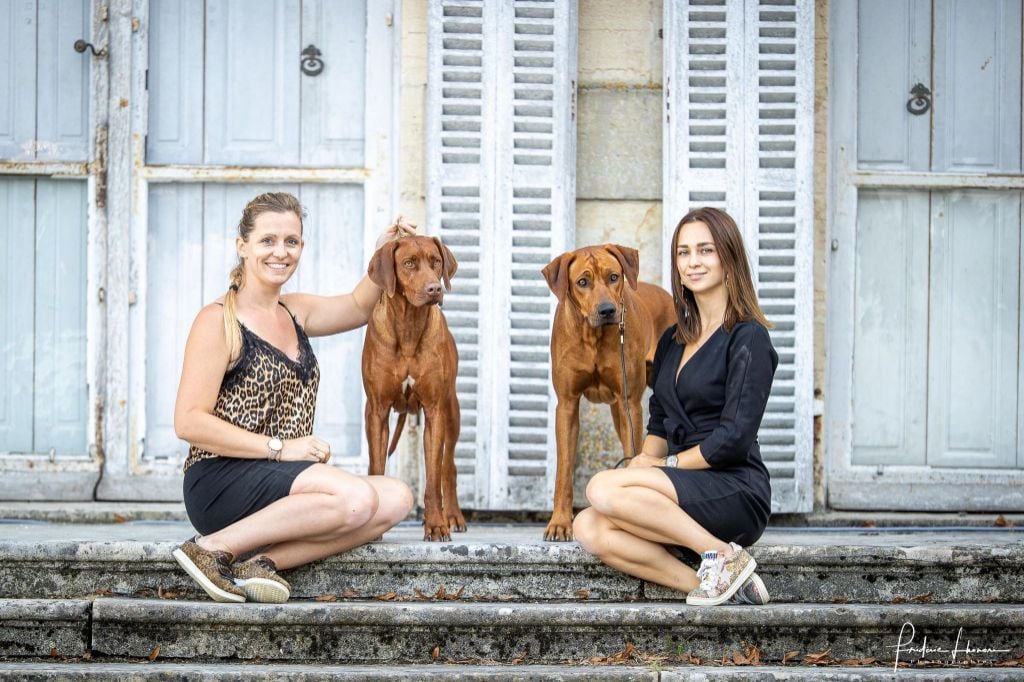 CH. Oluwa seyi aslan Du Domaine D'adéane - 1er Exc Classe Ouverte