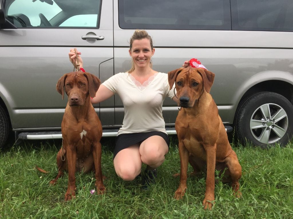 CH. Oluwa seyi aslan Du Domaine D'adéane - Excellent Classé short list top 5