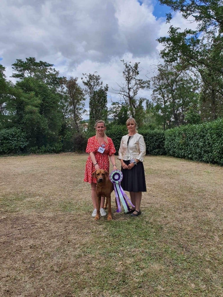 CH. Oluwa seyi aslan Du Domaine D'adéane - 1er Exc / BOS