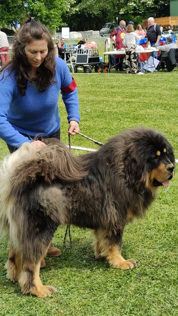 Skiper senghe airawata