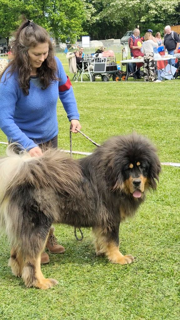 Skiper senghe airawata