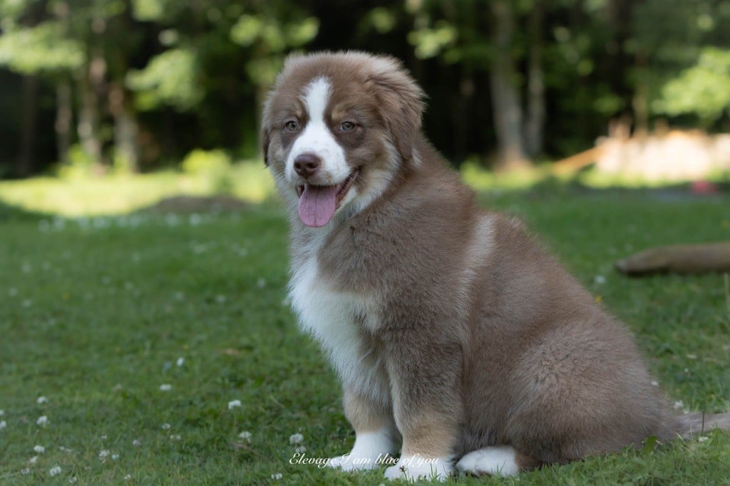 Yoga viparita karani I Am Blue Of You