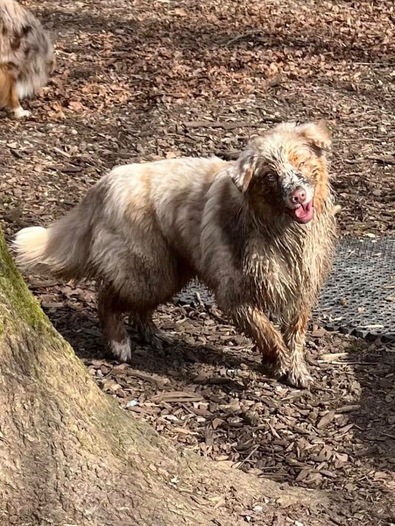 Xérès manzanilla deliciosa I Am Blue Of You