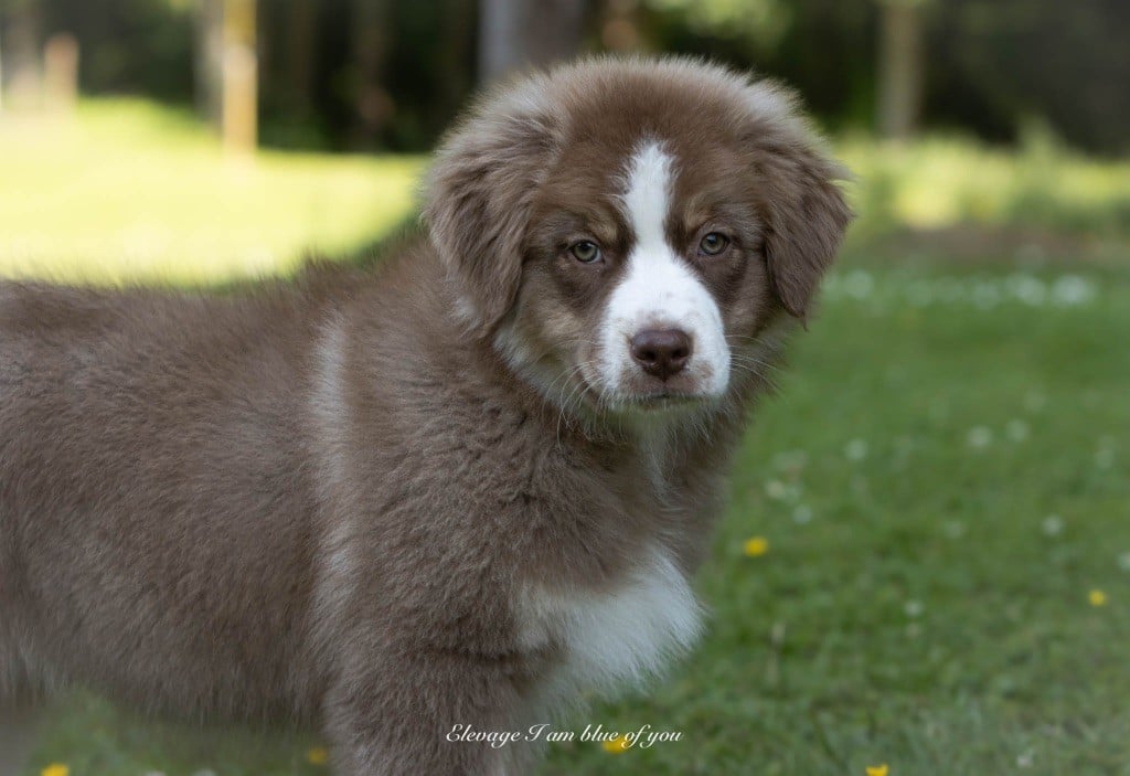 Yoga viparita karani I Am Blue Of You