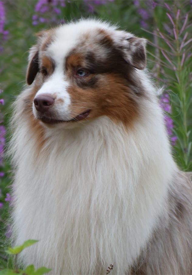 Publication : du chemin des korrigans