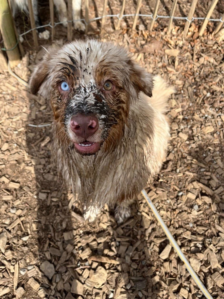 Xérès manzanilla deliciosa I Am Blue Of You