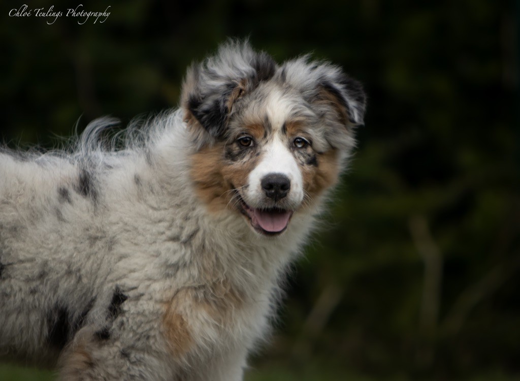 Ultraviolence brooklyn baby I Am Blue Of You