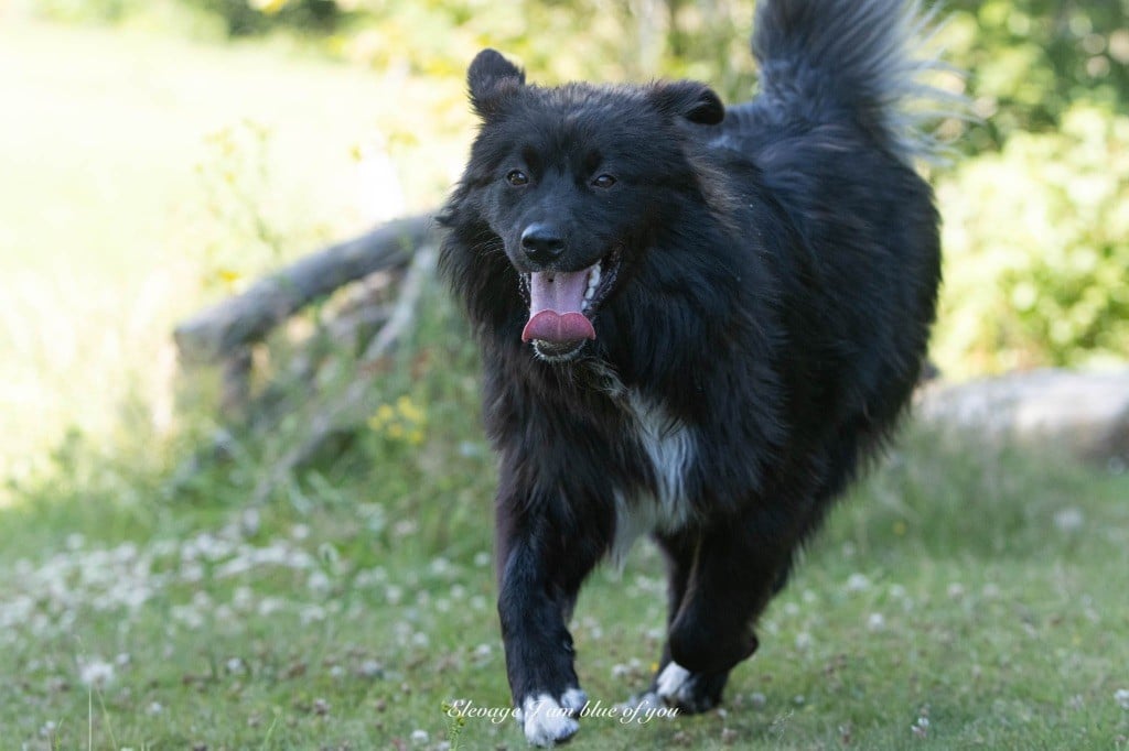 X otic pink margarita I Am Blue Of You