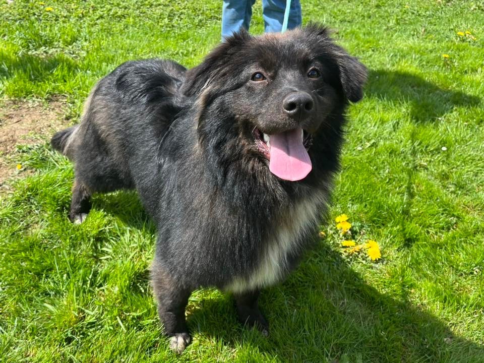 X otic pink margarita I Am Blue Of You