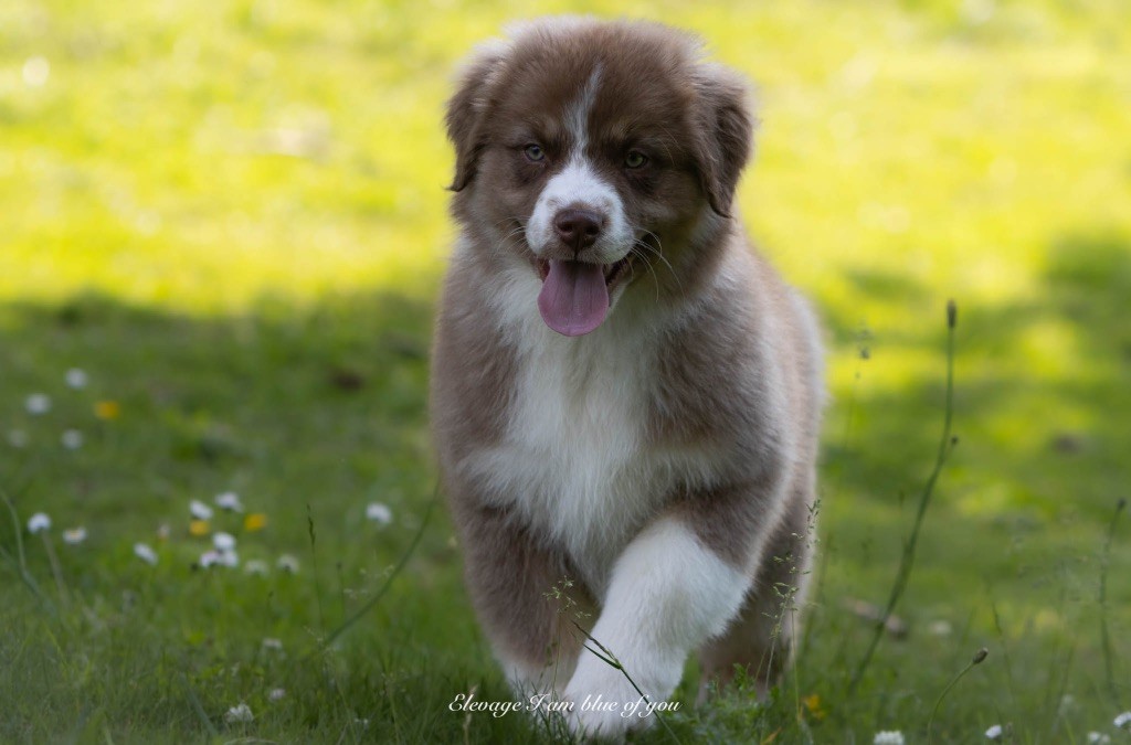 Yoga astavakra krouncha I Am Blue Of You