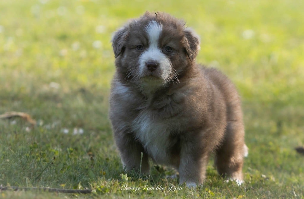 Yoga viparita karani I Am Blue Of You