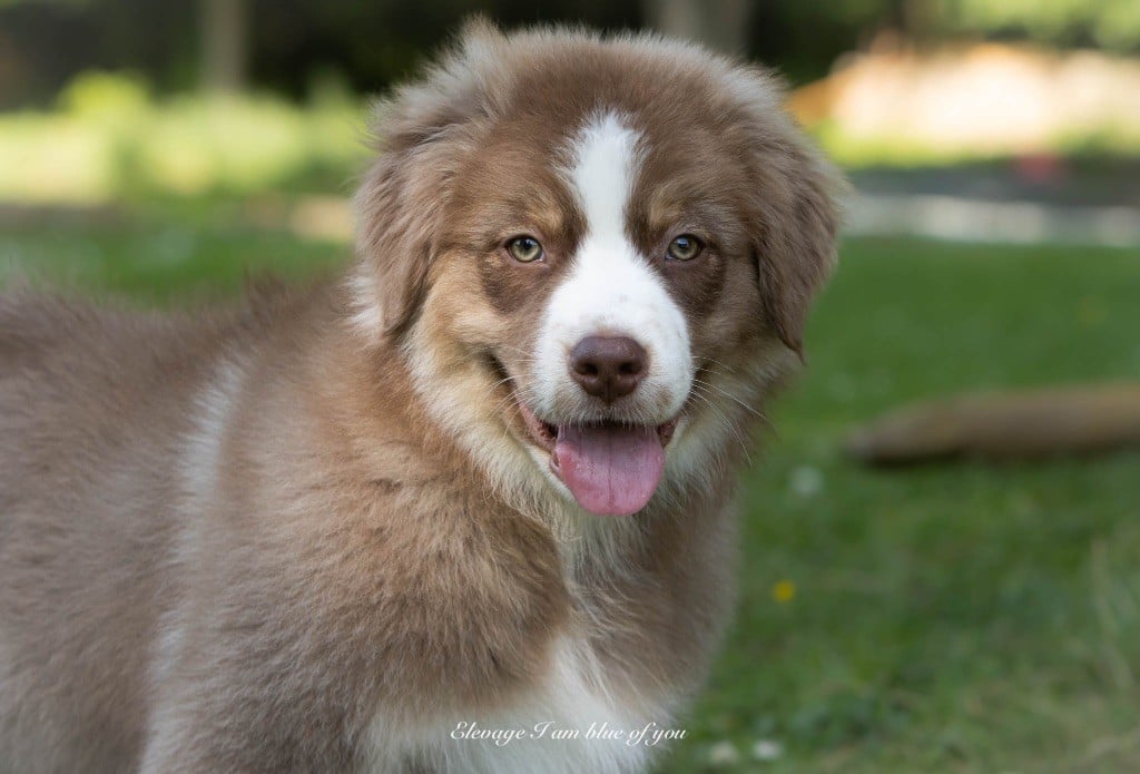 Yoga viparita karani I Am Blue Of You