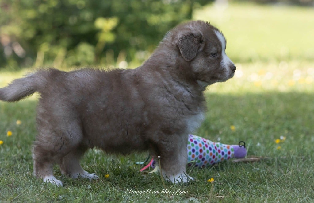 Yoga viparita karani I Am Blue Of You