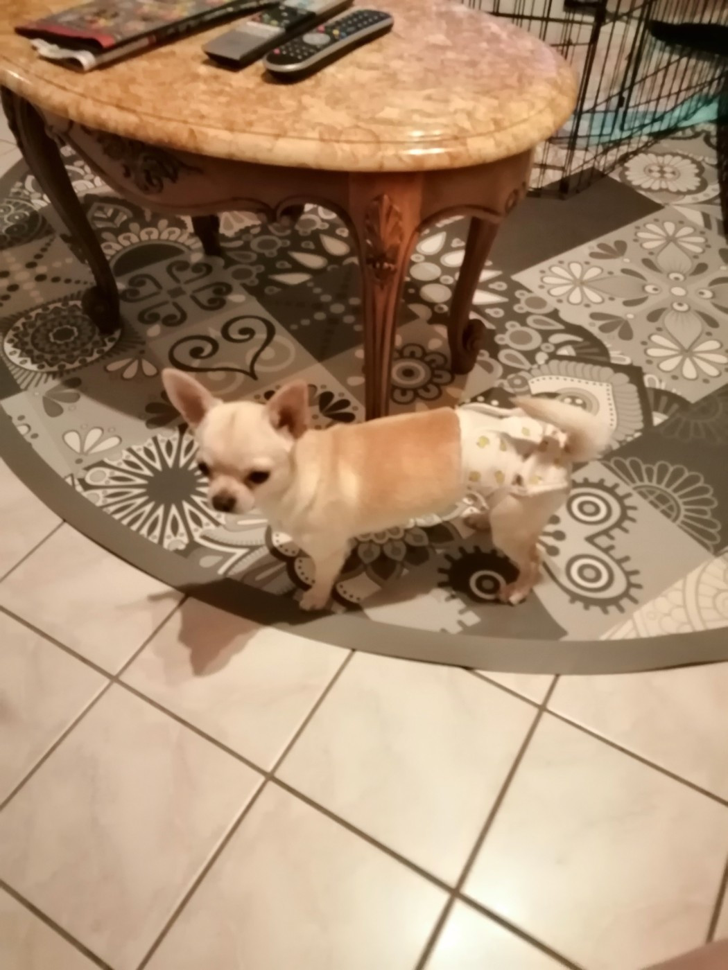 Vanilla Du Moulin Des Petits Gringos