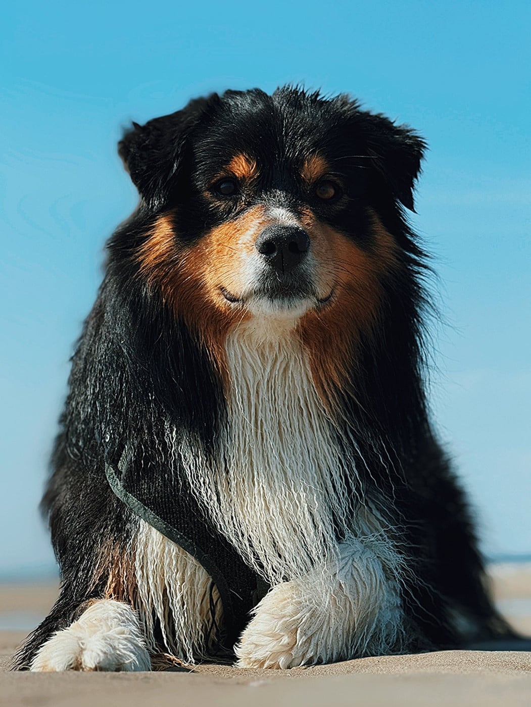 Pikkoro San Pike Du Petit Mont D'éden