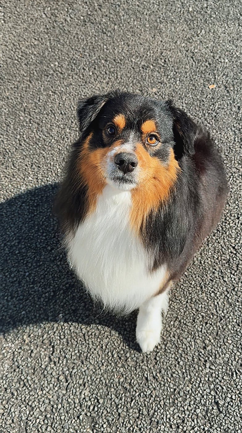 Pikkoro San Pike Du Petit Mont D'éden