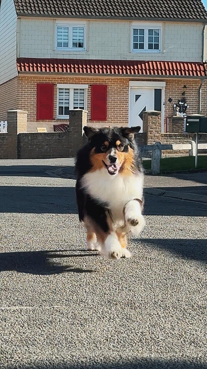 Pikkoro San Pike Du Petit Mont D'éden