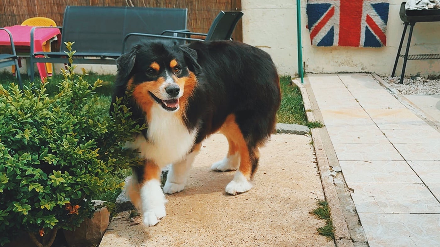 Pikkoro San Pike Du Petit Mont D'éden
