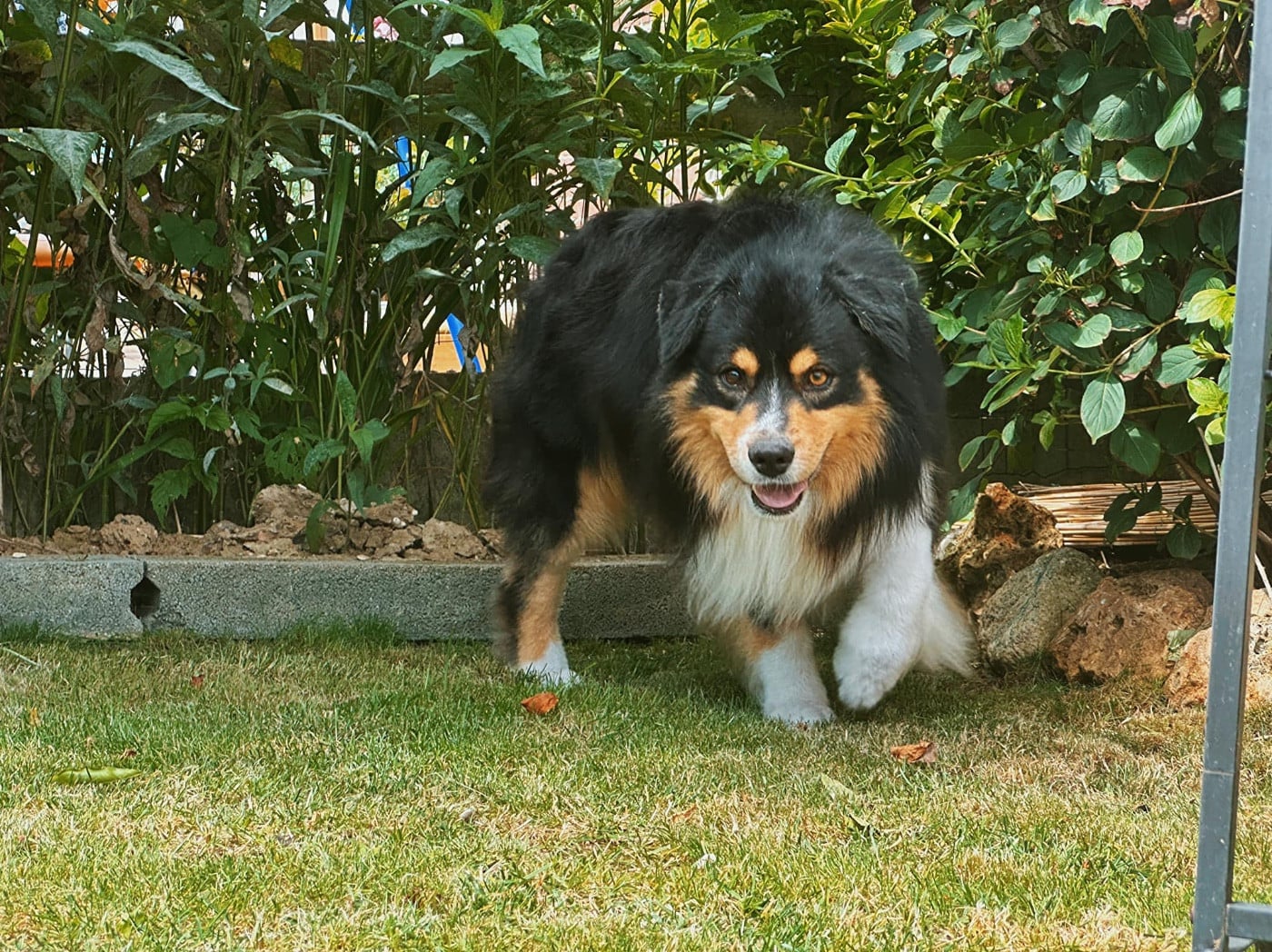 Pikkoro San Pike Du Petit Mont D'éden