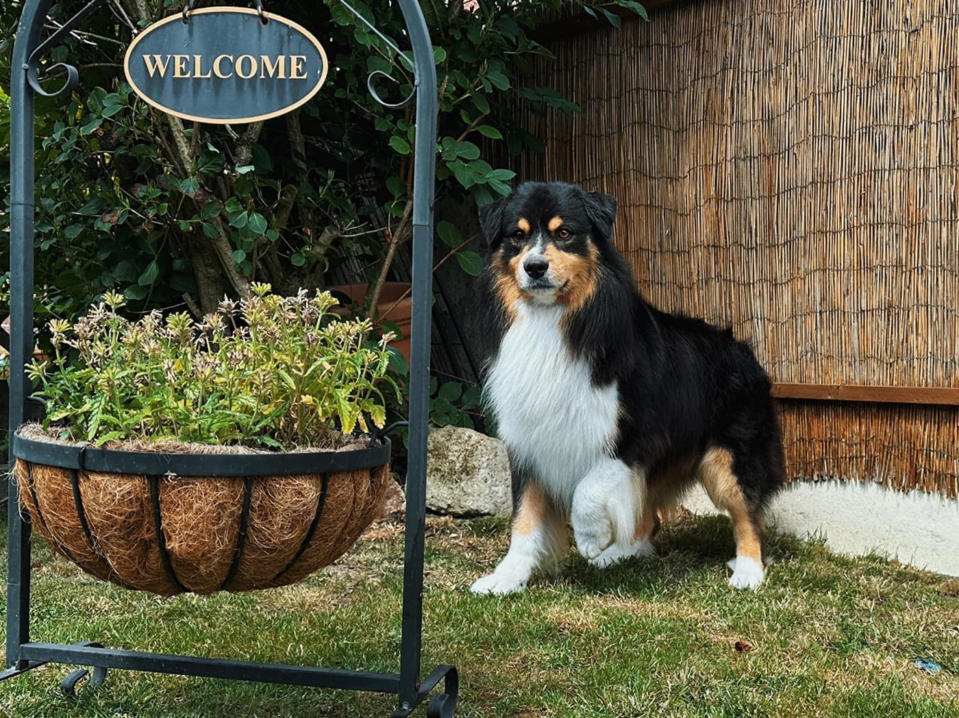 Pikkoro San Pike Du Petit Mont D'éden