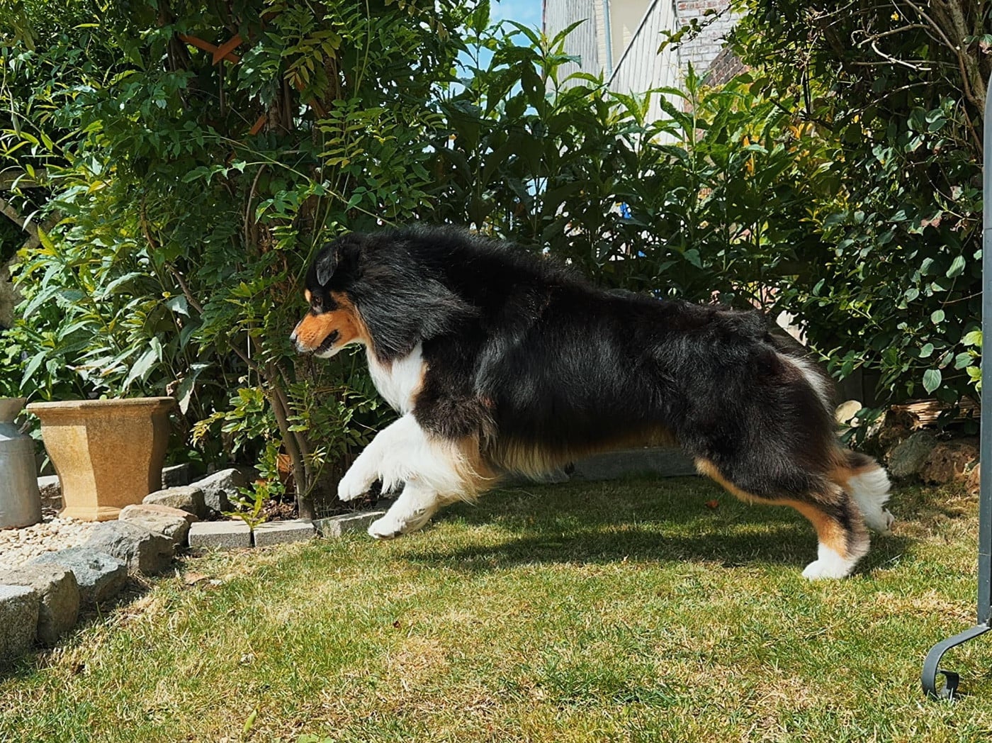 Pikkoro San Pike Du Petit Mont D'éden