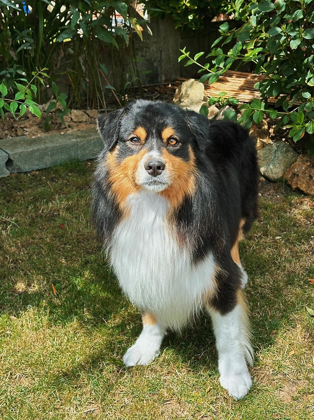 Pikkoro San Pike Du Petit Mont D'éden