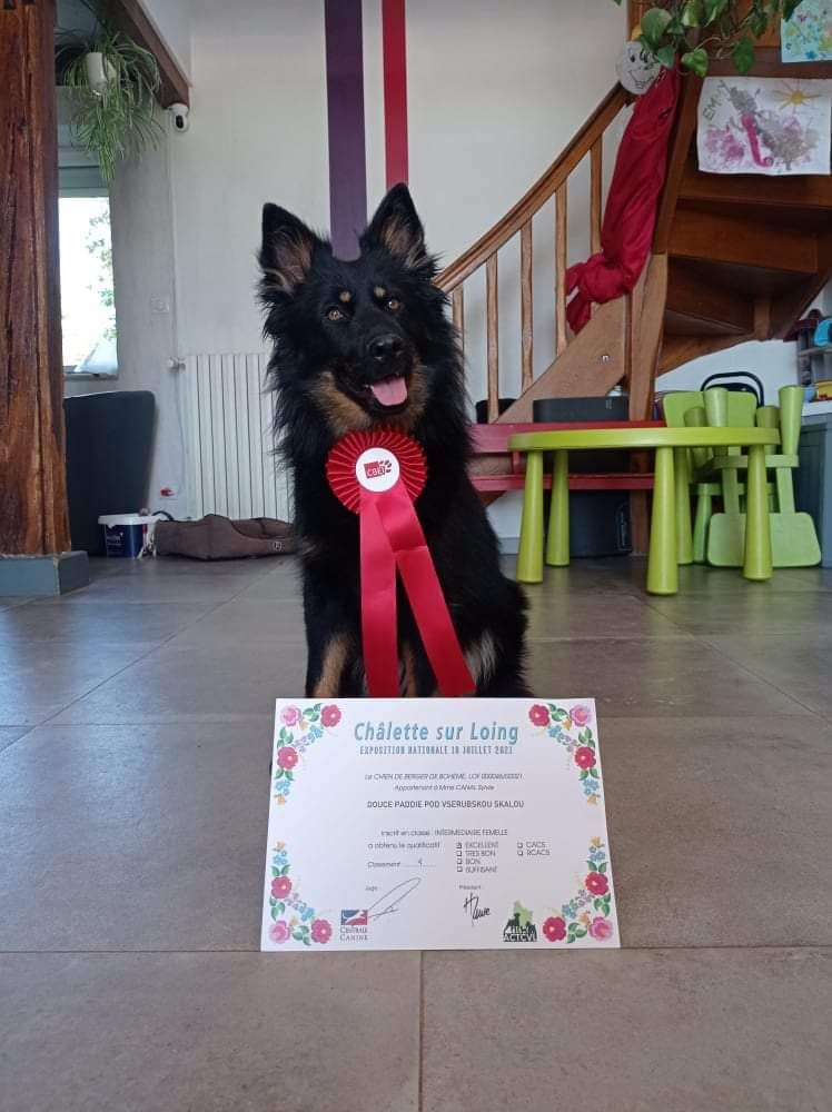 Douce paddie vserubskou skalou - 3 ème excellent